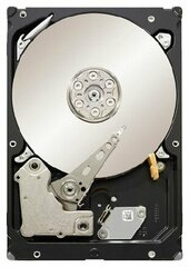 ST31000424SS Жесткий диск Seagate 1TB 6G SAS 7200 RPM, 3.5 inch (LFF) DP HDD ST31000424SS