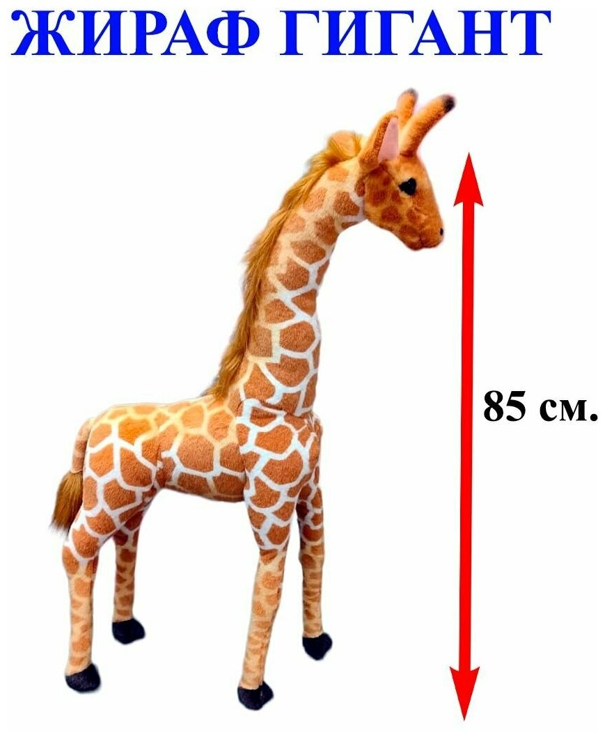 Мягкая игрушка Жираф Гигант. 85 см. Плюшевый африканский Жираф стоящий прямо.