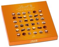 Набор конфет Lindt Mini Pralines Mix 180 г