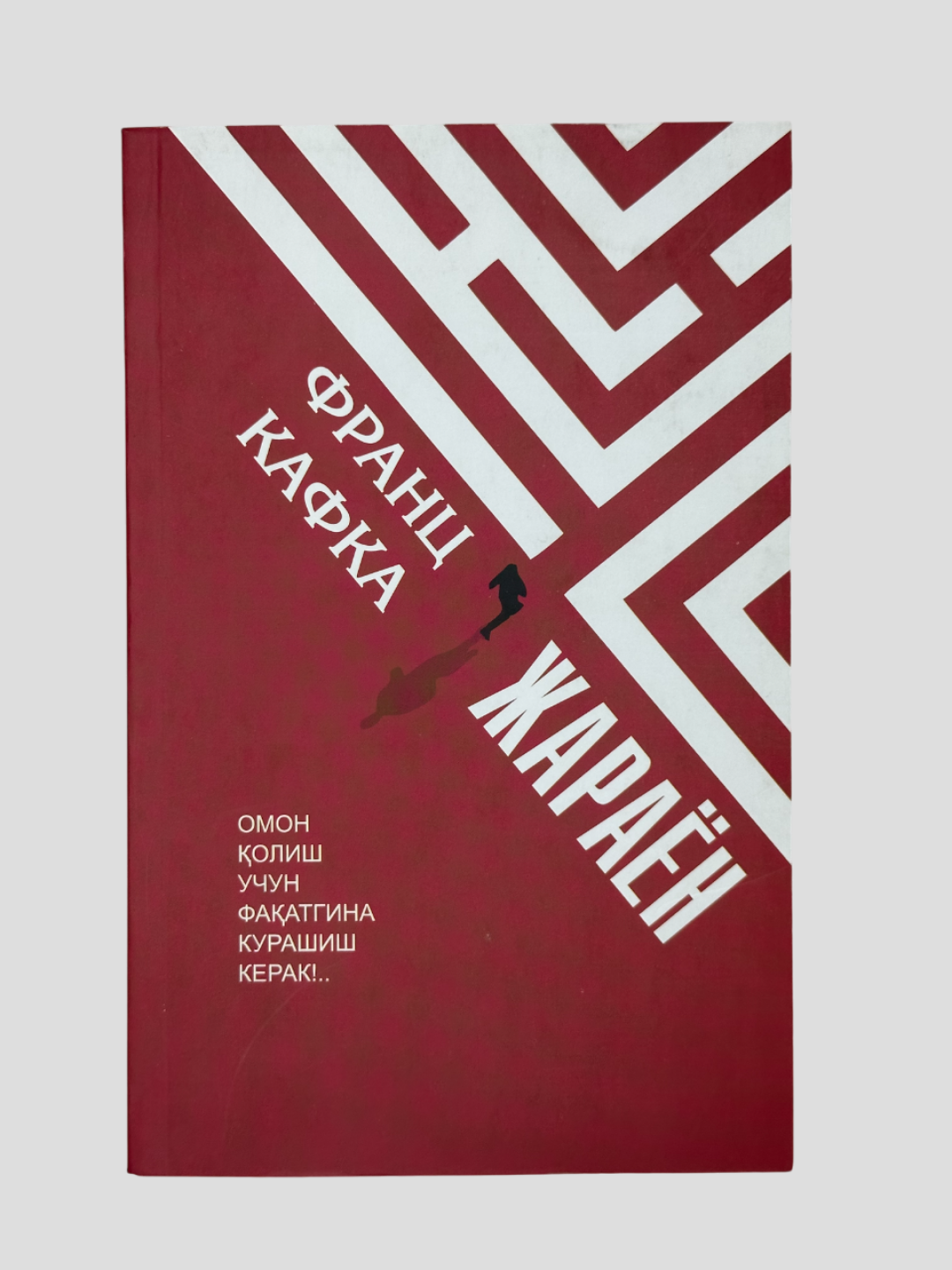 Жараён, Франз Кафка, Омон колиш учун факатгина курашиш керак