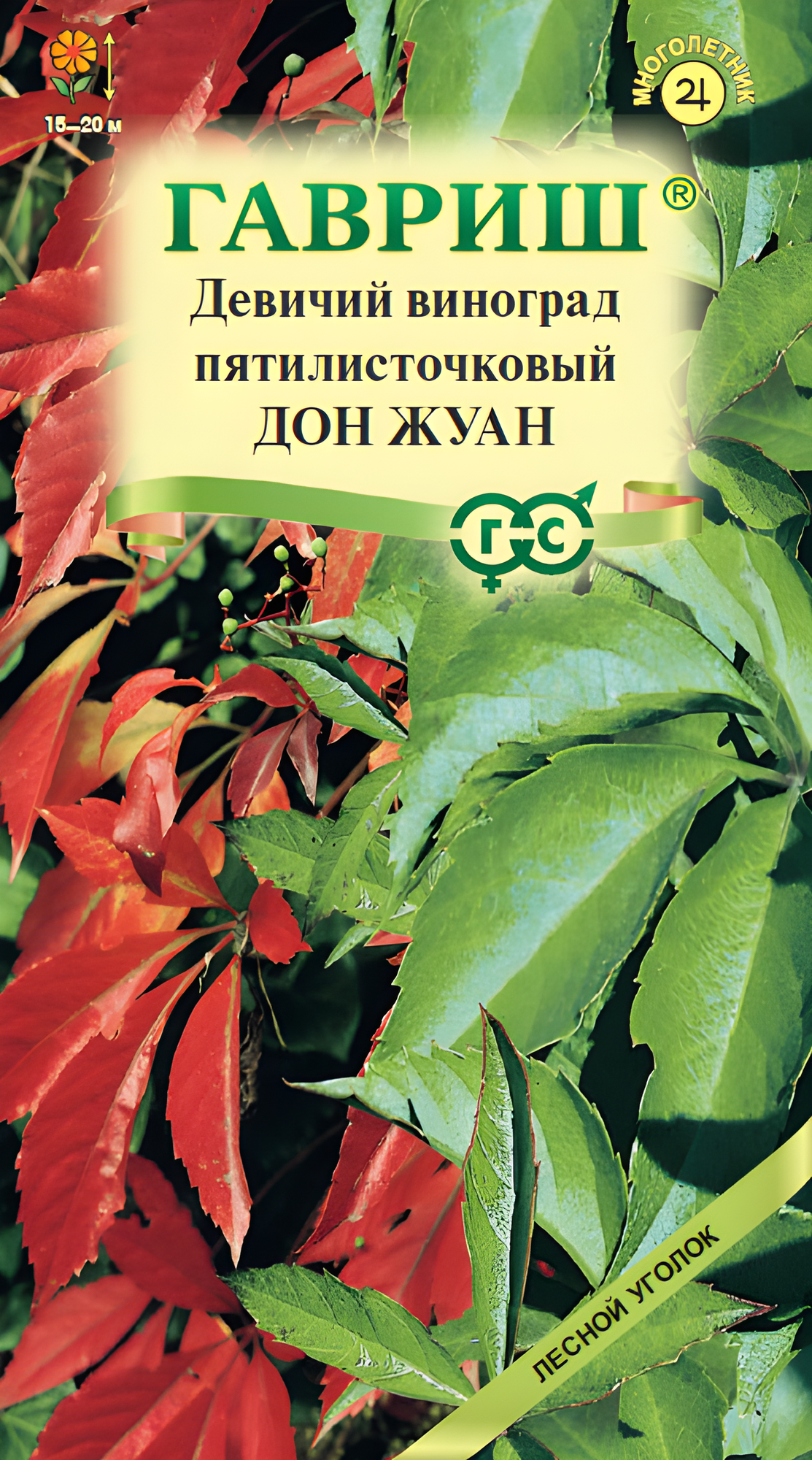 Семена Девичий виноград Дон Жуан (5 семян) Гавриш многолетник лиана