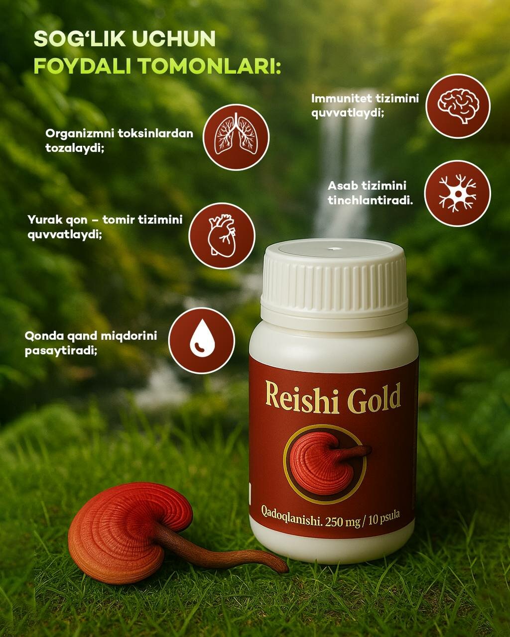 Гано рейши БАД Reishi Gold "Ganoderma Lucidum", для иммунитета и детокс,100штук гано дерма