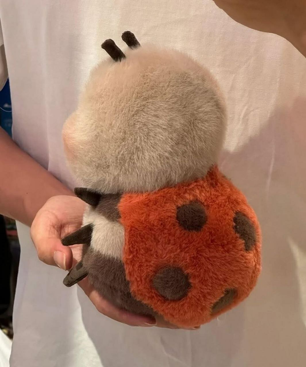 "божья коровка — это не просто игрушка-это мини-терапия, поднимающая настроение.”