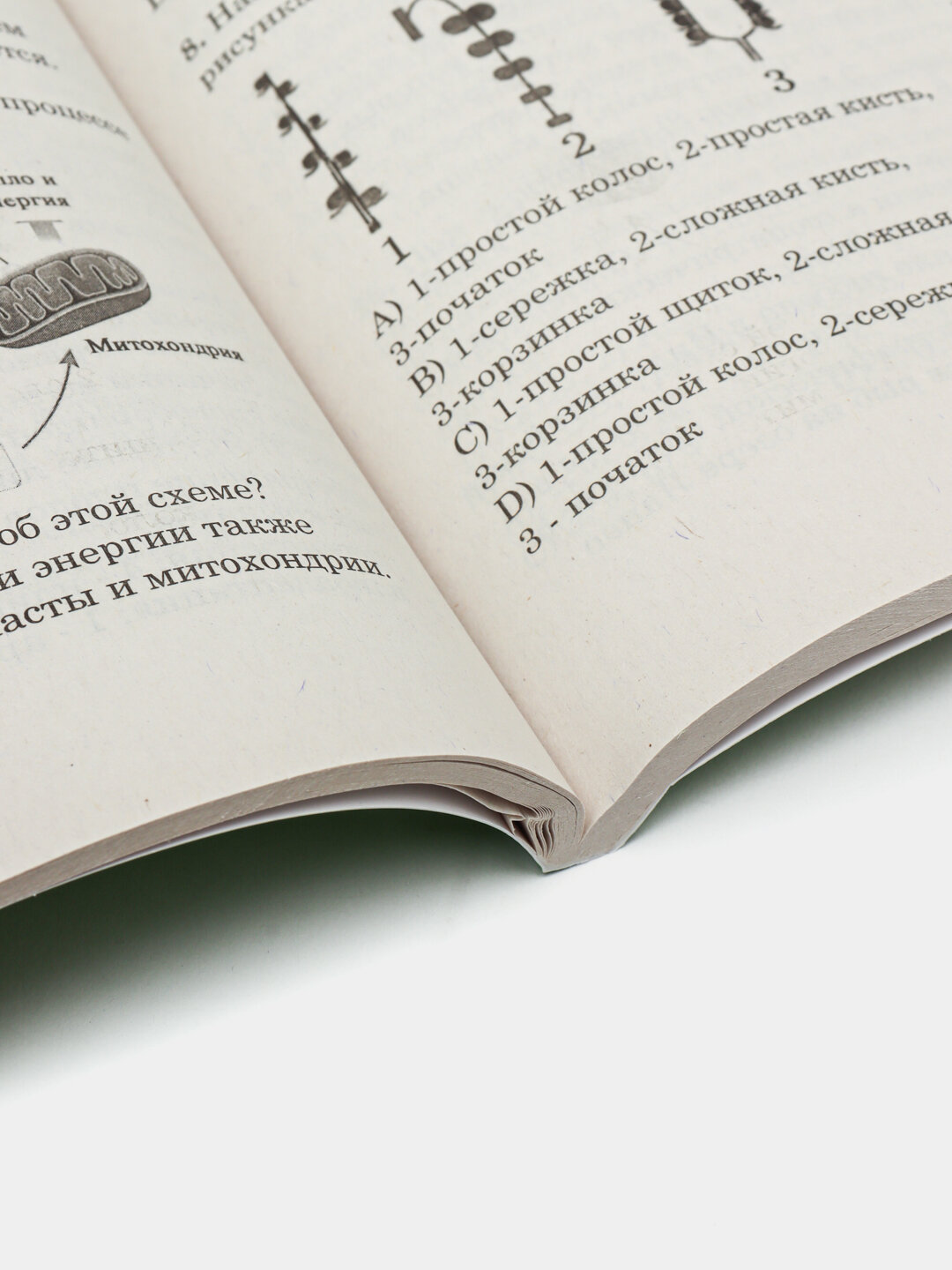 Книга "Биология. Диагностические тесты", 2024 г, мягкий переплет, для школьников — фото 1