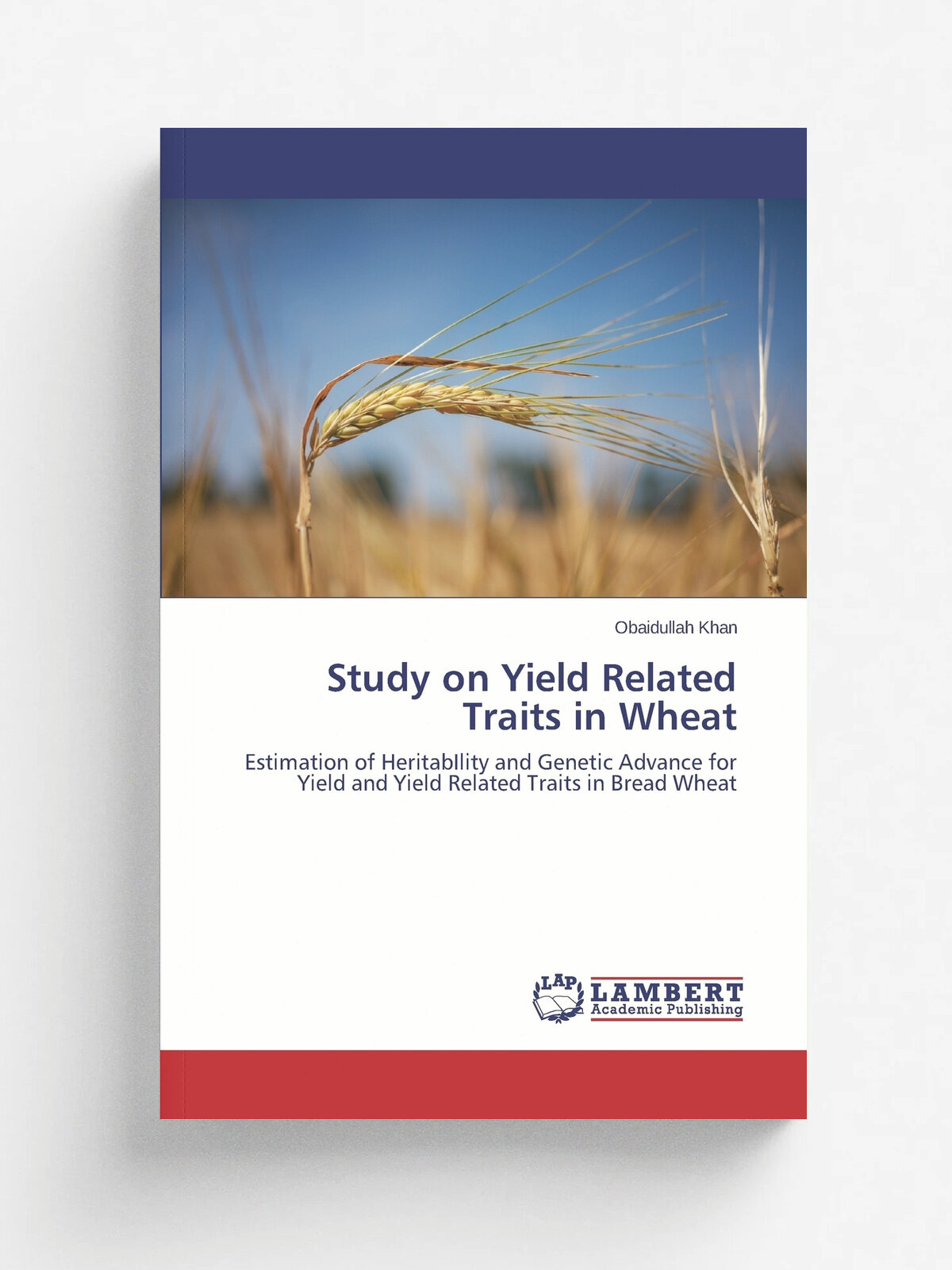 Study on Yield Related Traits in Wheat