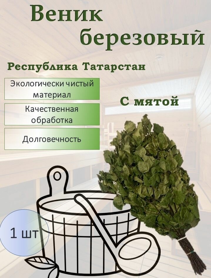 Веник для бани берёзовый с мятой — ароматный мягкий с целебными свойствами (1 шт)