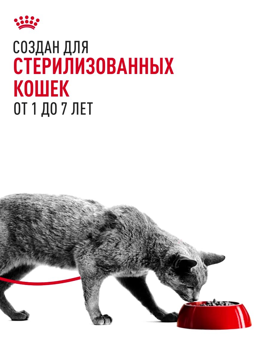 Сухой корм для стерилизованных кошек Royal Canin Sterilised 37, 4 кг — фото 1