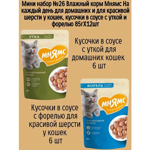 Мини набор №26 Влажный корм Мнямс для домашних кошек, кусочки в соусе с уткой и форелью, 12 шт х 85 гр