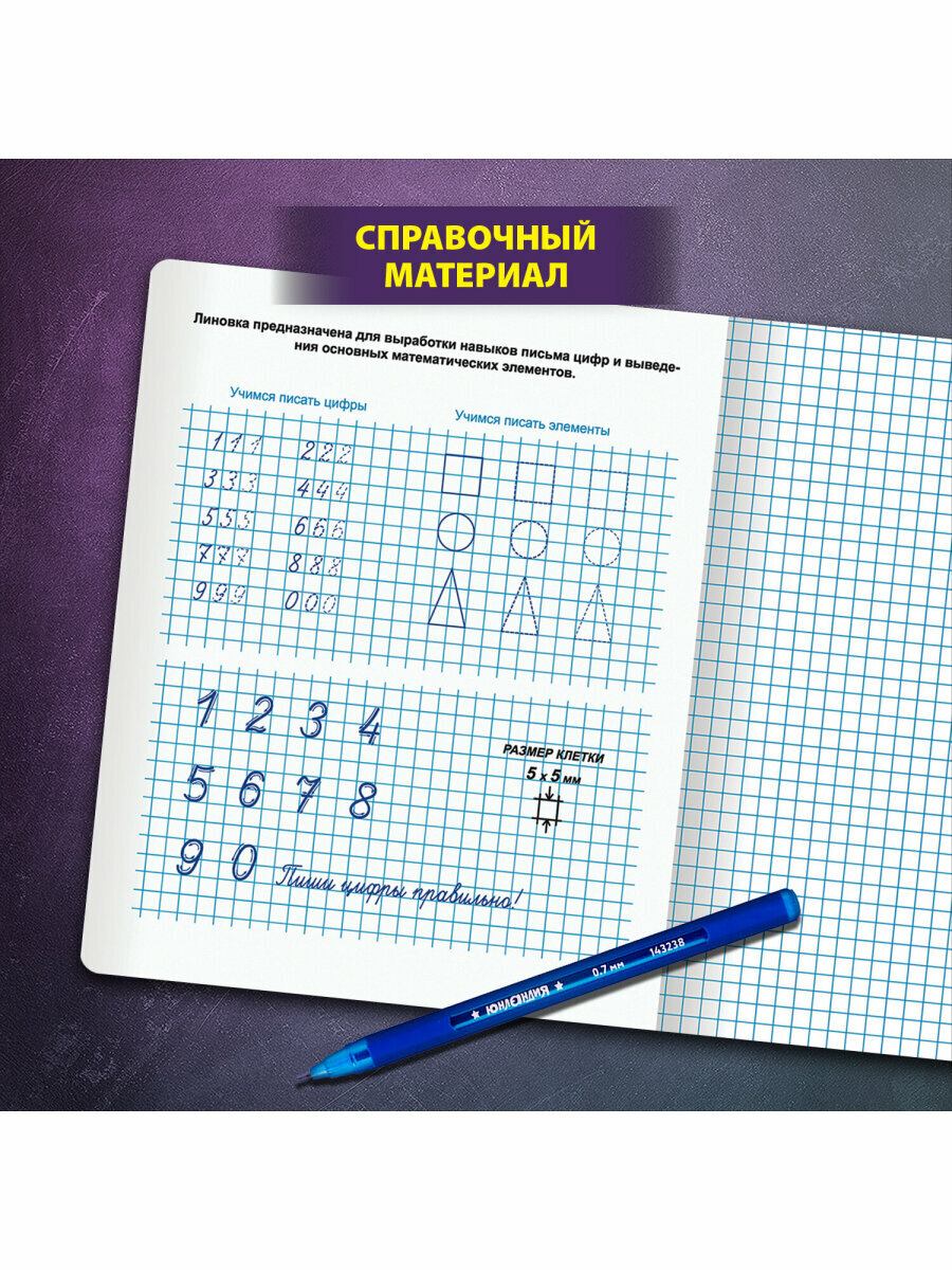 Тетрадь в клетку 12 листов для школы набор 10 штук, прописи для школьников, Юнландия, 404855 — фото 1