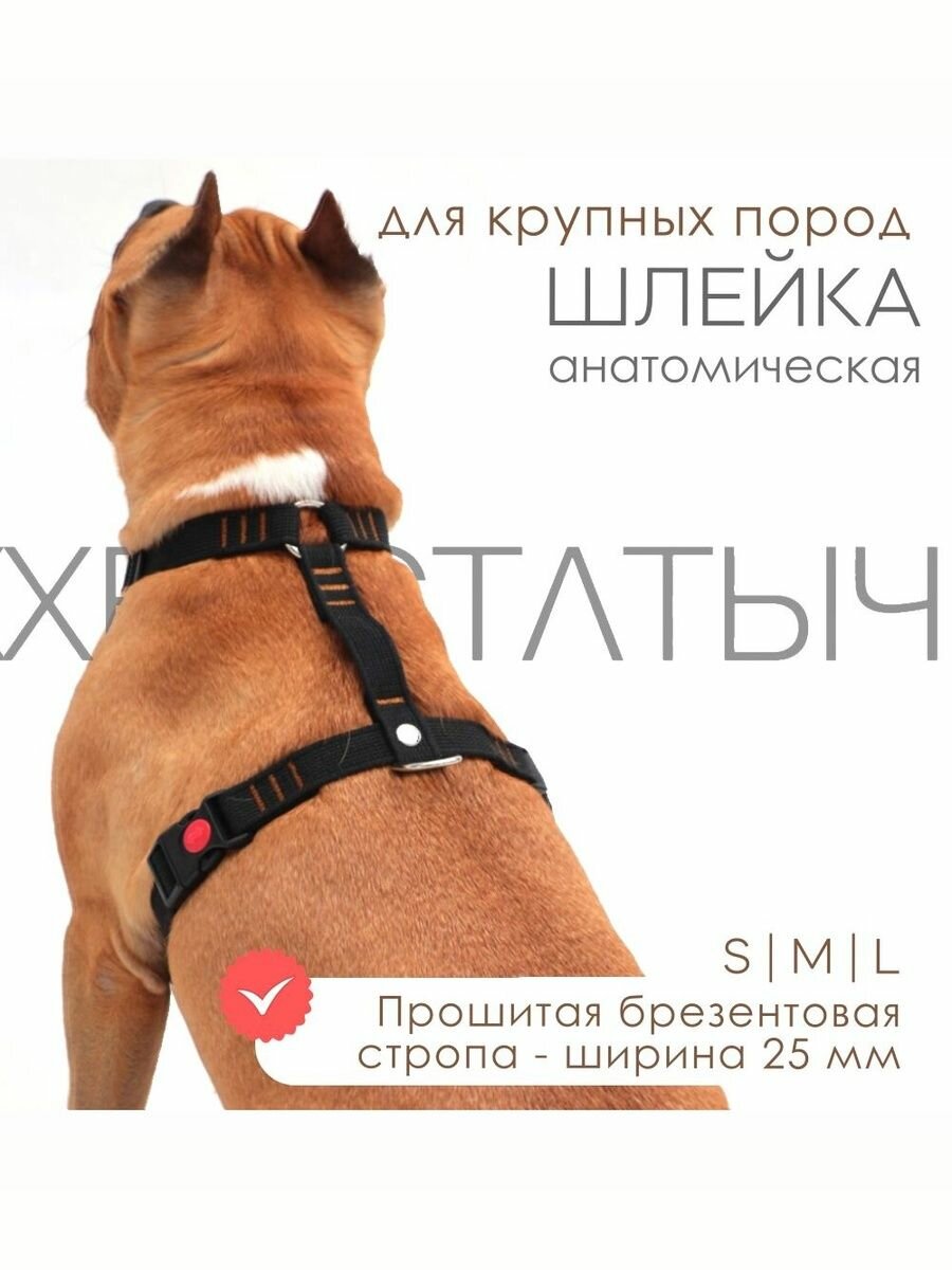Шлейка Хвостатыч для собак анатомическая прошитая брезент 25 мм (черный) размер L