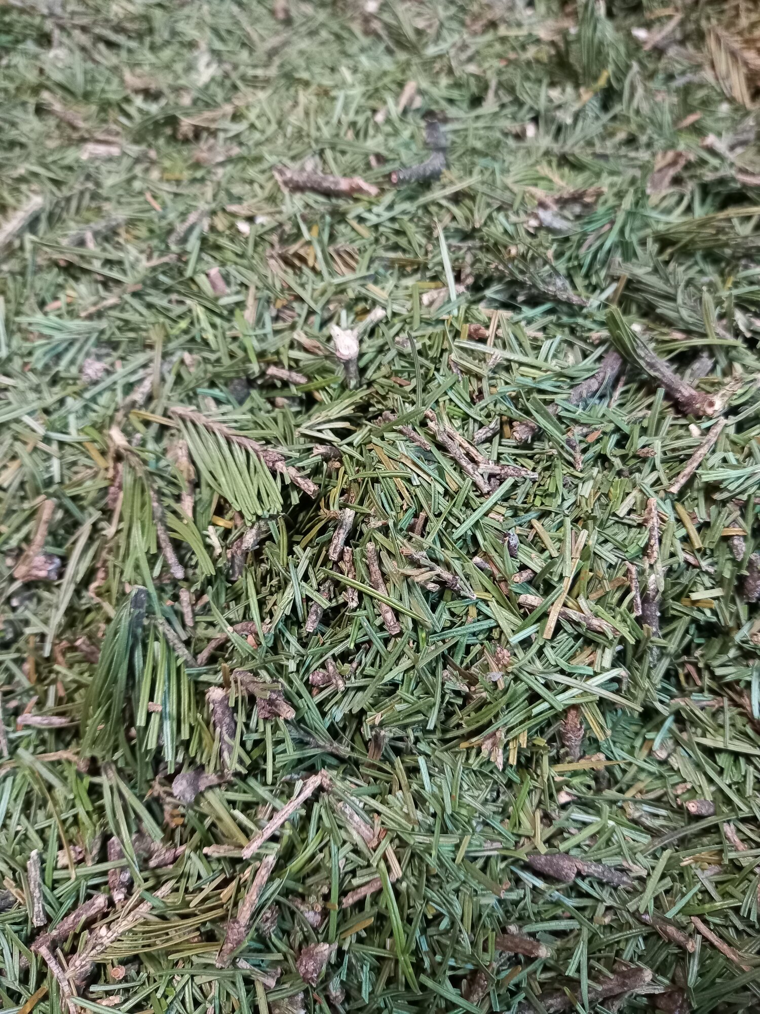 Хвойный микс 10кг запарка для бани