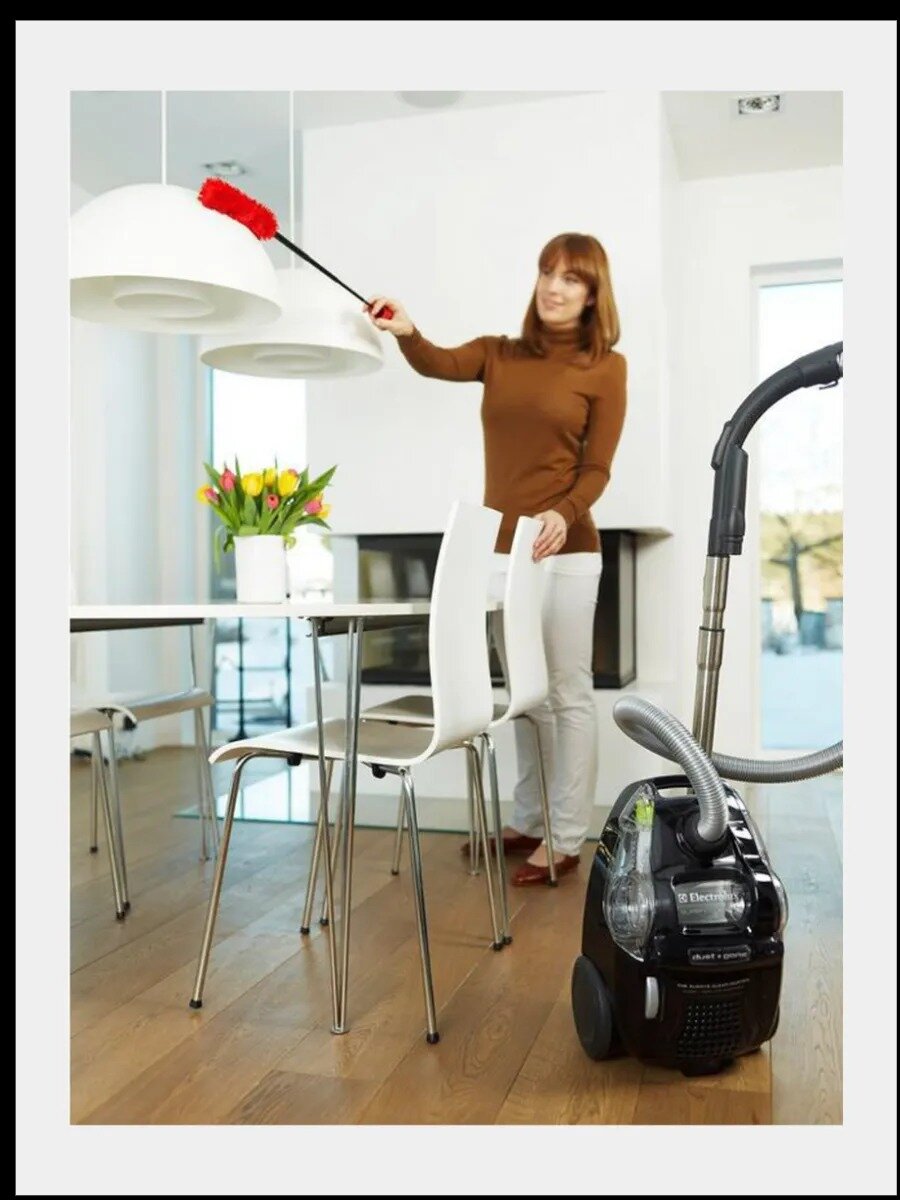 Пылесос Electrolux ZSC69, с контейнером на 4 литра, сухая уборка — фото 1