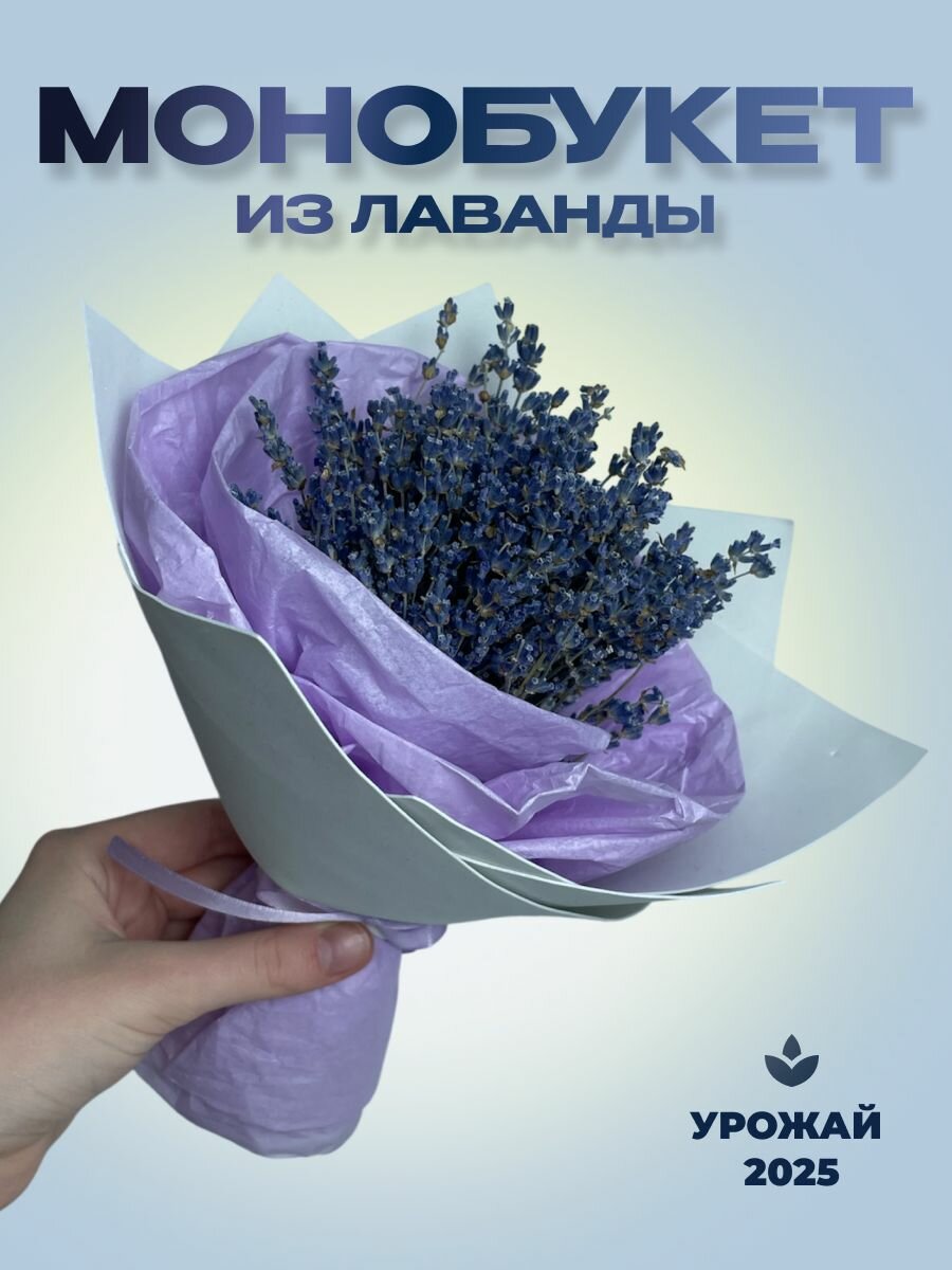 Букет из лаванды сухоцветы 25см