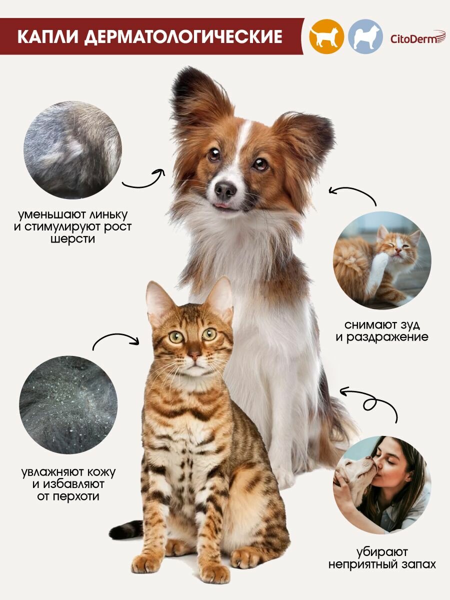 Капли дерматологические для кошек и собак до 10 кг CitoDerm для шерсти и кожи 4 шт — фото 1