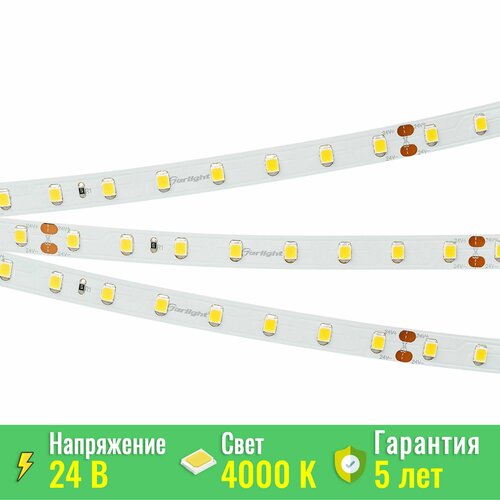 фото Светодиодная лента arlight rt-a80-8mm 24v day4000 (6 w/m, ip20, 2835, 50m) (arlight, высок. эфф.150 лм/вт) 024524(2)