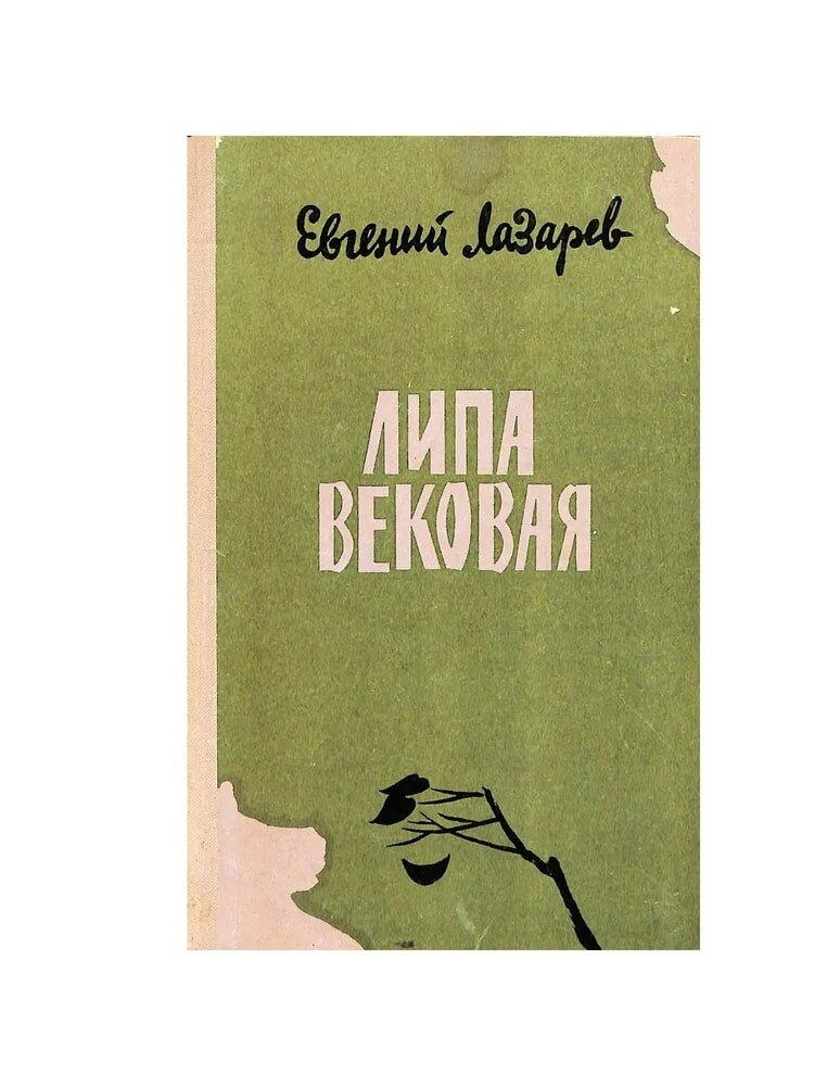 Липа вековая