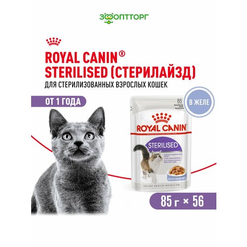 Royal Canin Sterilised пауч для кастрированных котов и стерилизованных кошек (кусочки в желе) Птица, 85 г. х 56 шт