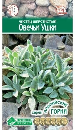 Чистец шерстистый овечьи ушки / 01 г х 1 упаковка/ Серия Альпийские горки