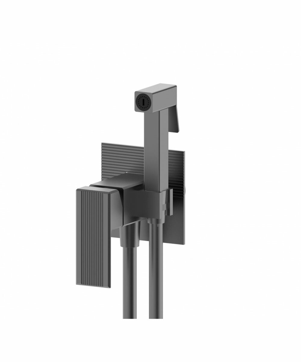 Смеситель с гигиеническим душем встраиваемый от бренда Vieir V443553-G графит