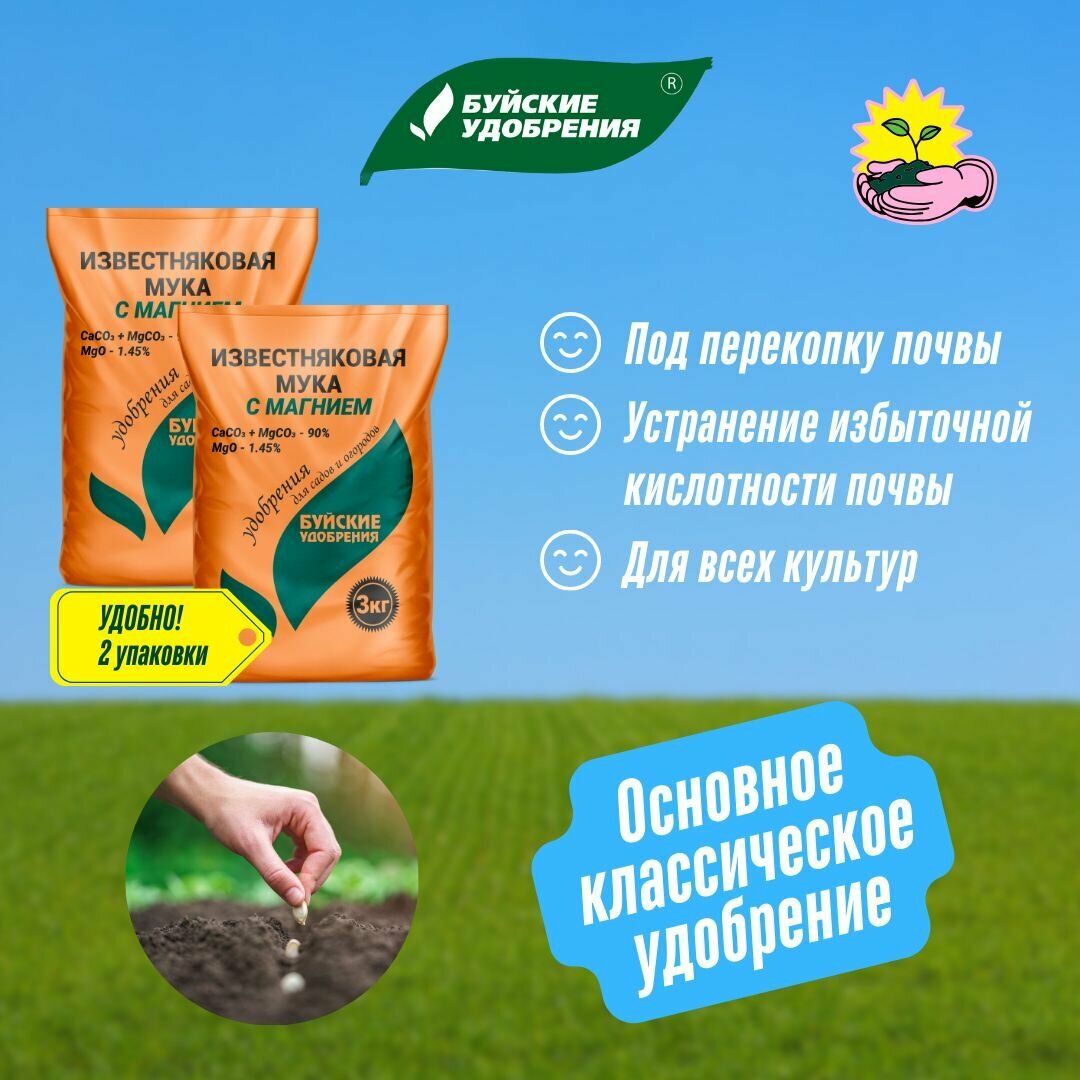 Буйские Удобрения, Доломитовая (Известняковая) мука с магнием 2 упаковки по 3 кг — фото 1