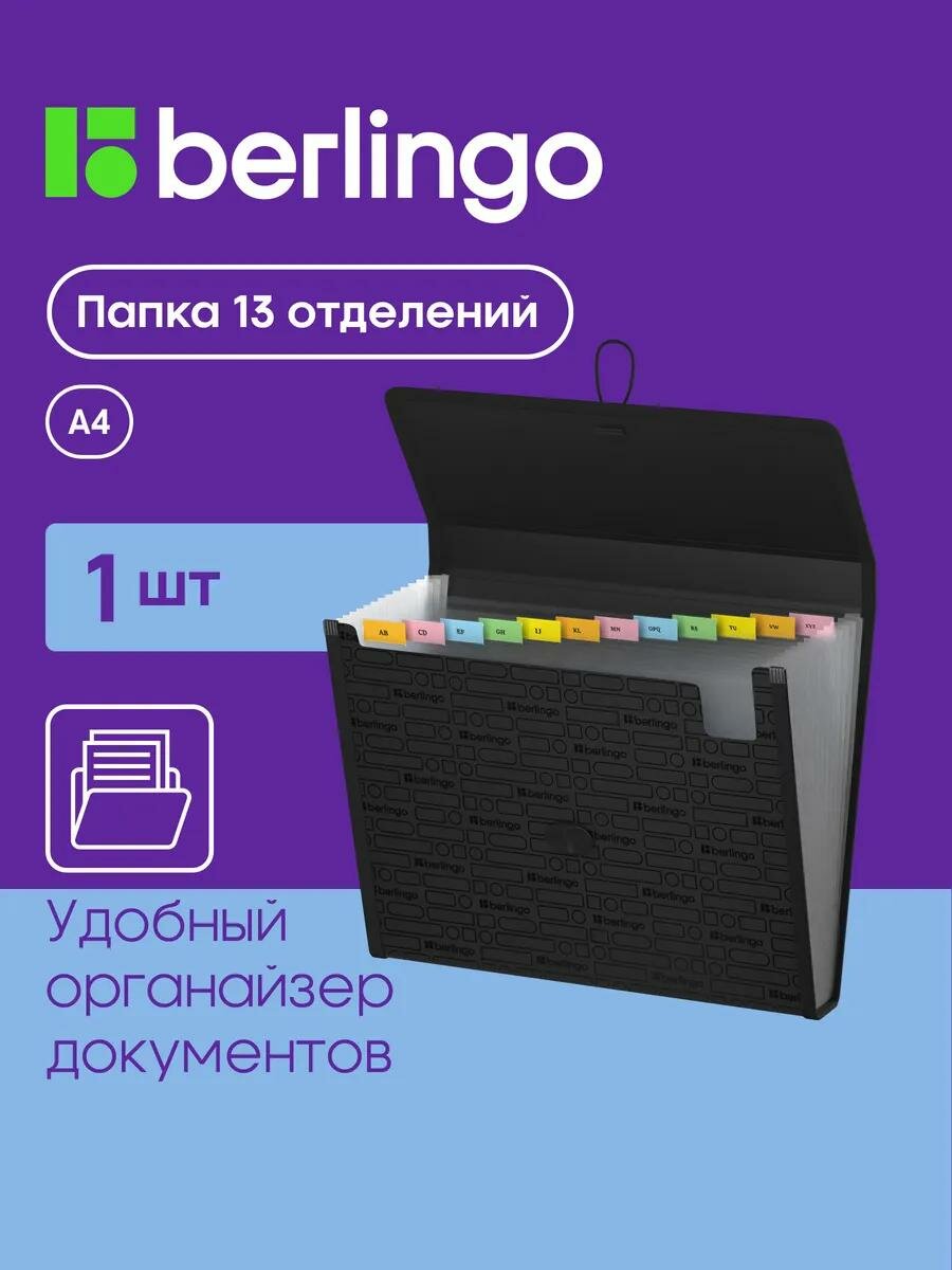 Семейная папка органайзер для документов и бумаг 13 отделений Berlingo "Your Way", А4, 600 мкм, на резинке, черная