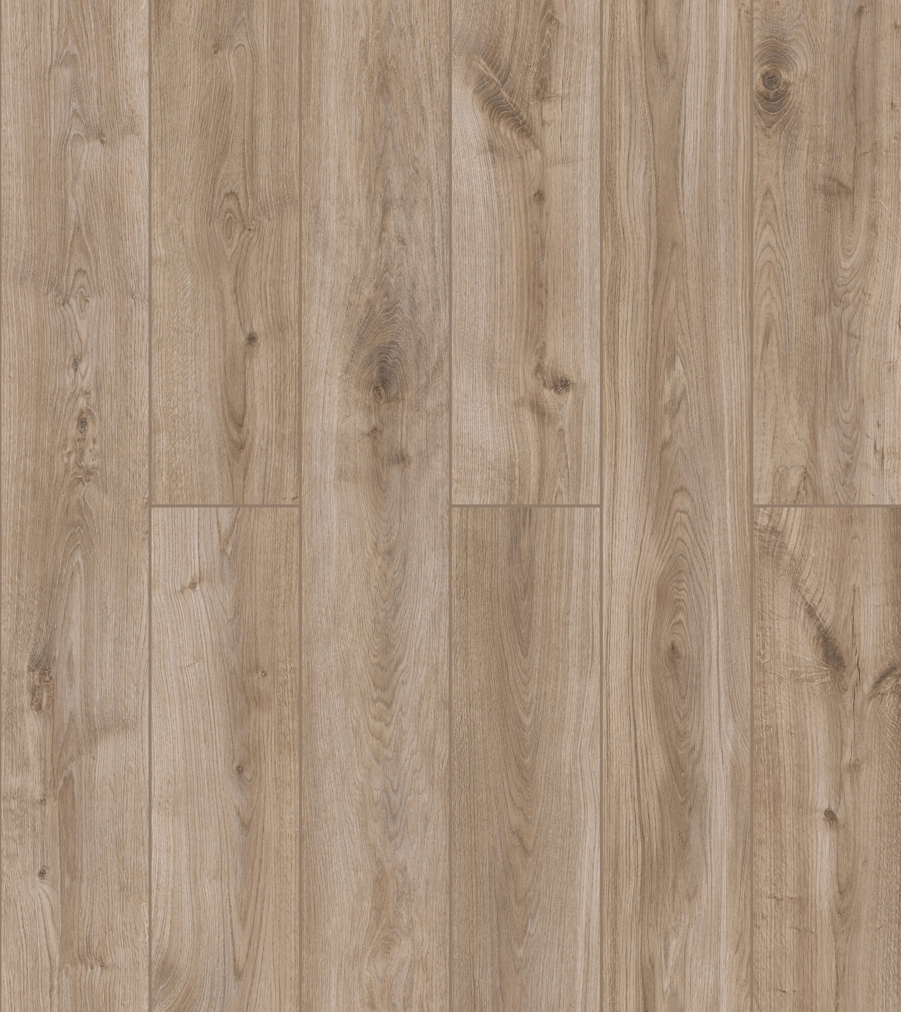 Ламинат SWISSKRONO HOME STANDARD Дуб Эфес 33 класс 12 мм 1318 м²