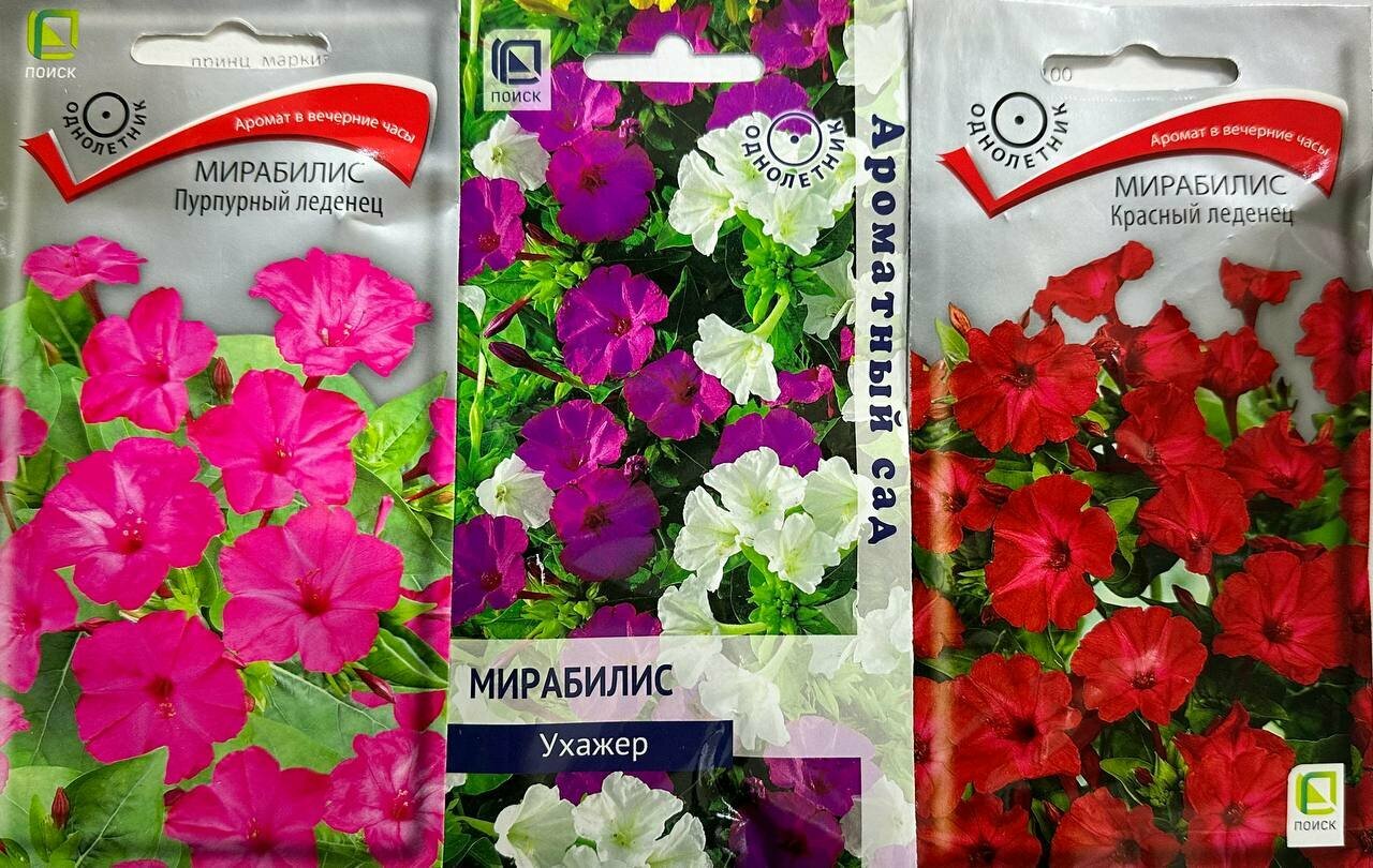 Семена цветы 