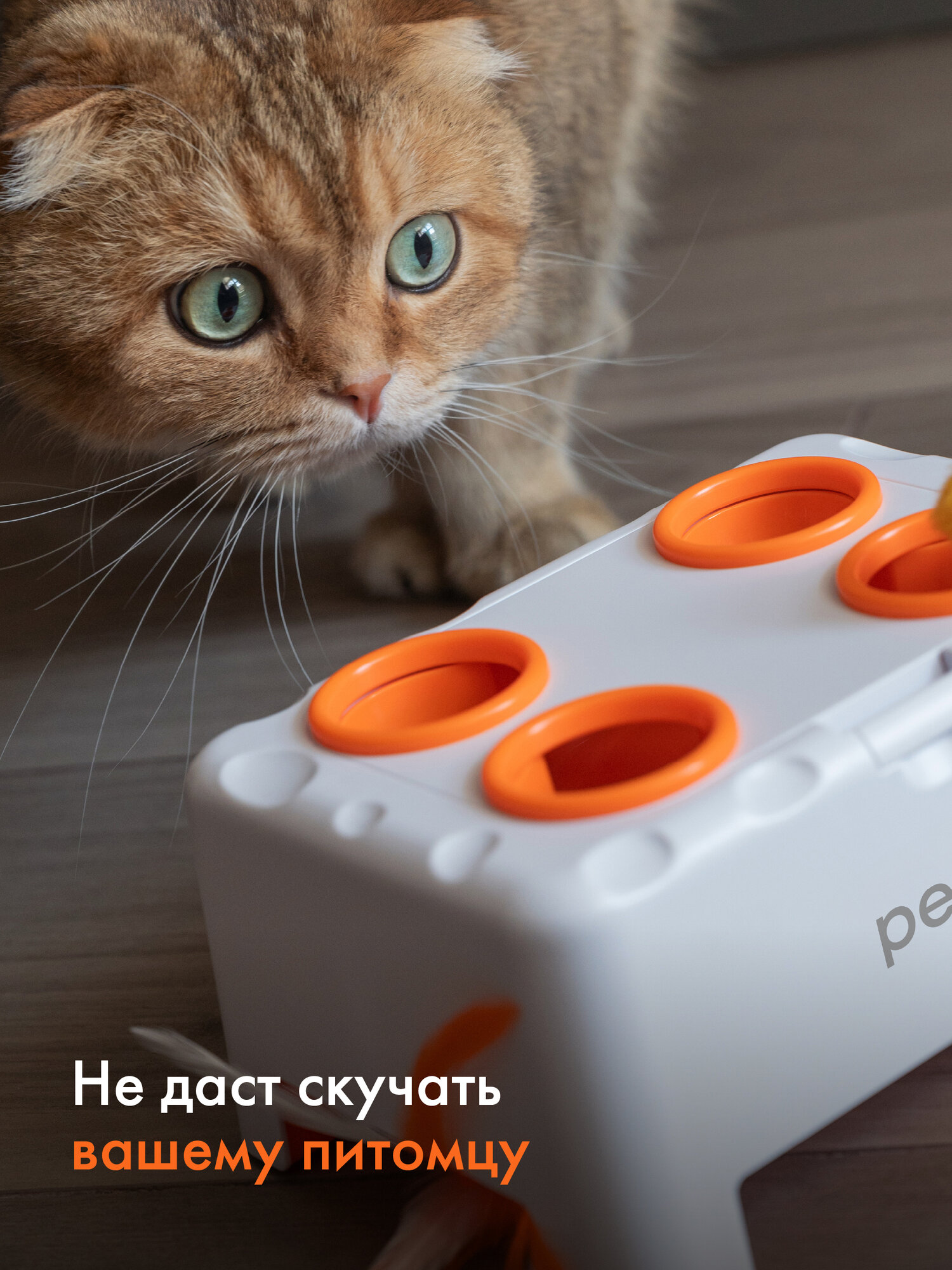 Изображение Интерактивная игрушка дразнилка для кошек Magic Box Pet Flat