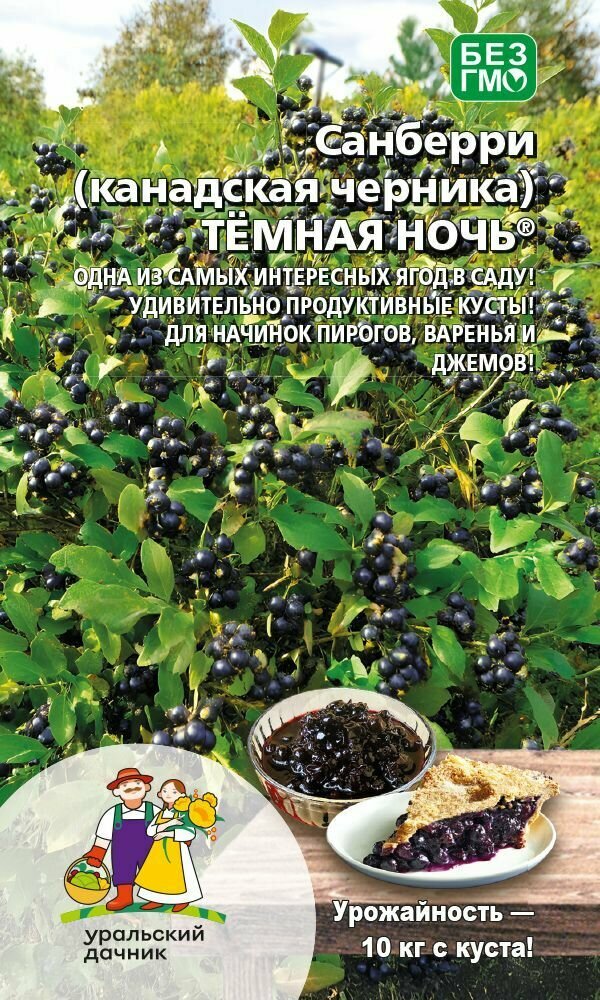 Семена Санберри  Канадская черника  Тёмная ночь Уральский Дачник