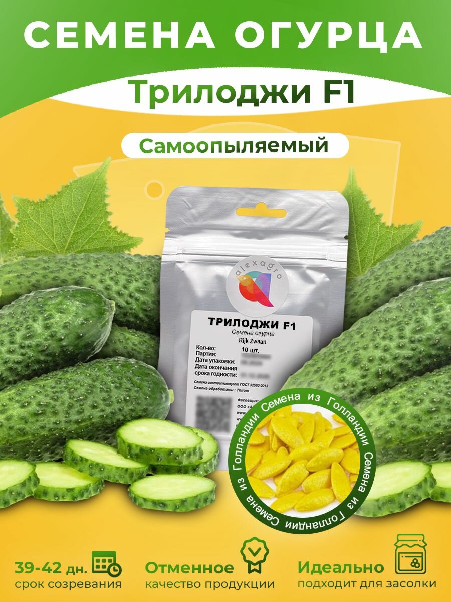 Трилоджи F1 семена огурца партенокарпического 10 семян (Rijk Zwaan / ALEXAGRO). Высокоурожайный ранний гибрид для открытого грунта и пленочных теплиц