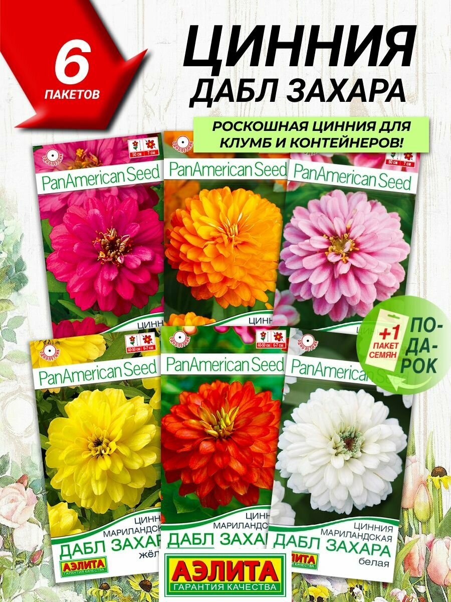 Семена цветов Аэлита Цинния Дабл Захара 6 сортов / Семена Циннии