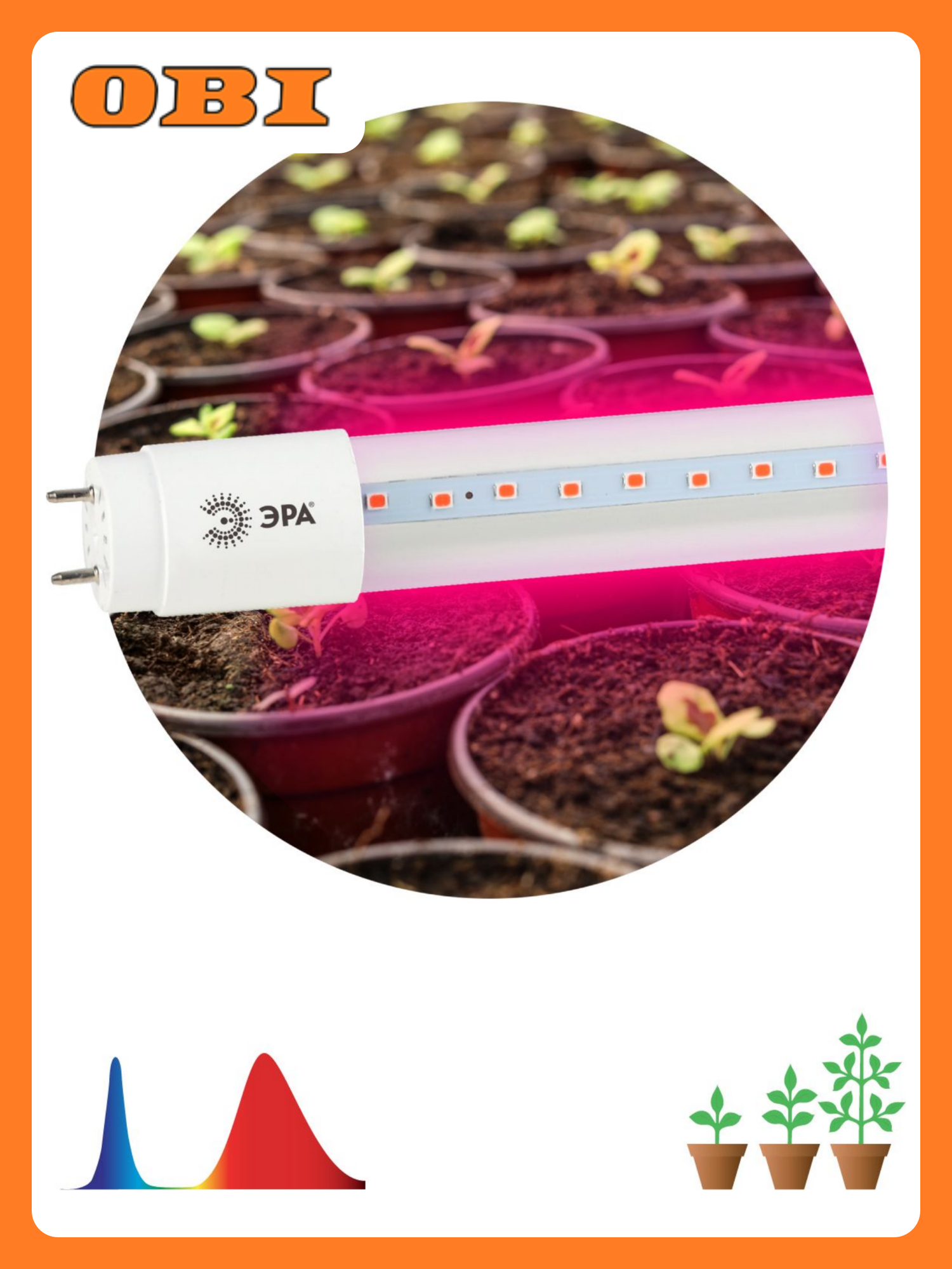 Фитолампа для растений т8 9 Вт g13 красный-синий