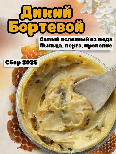 Изображение товара Дикий мед натуральный , Мед Бортевой , Мед суфле