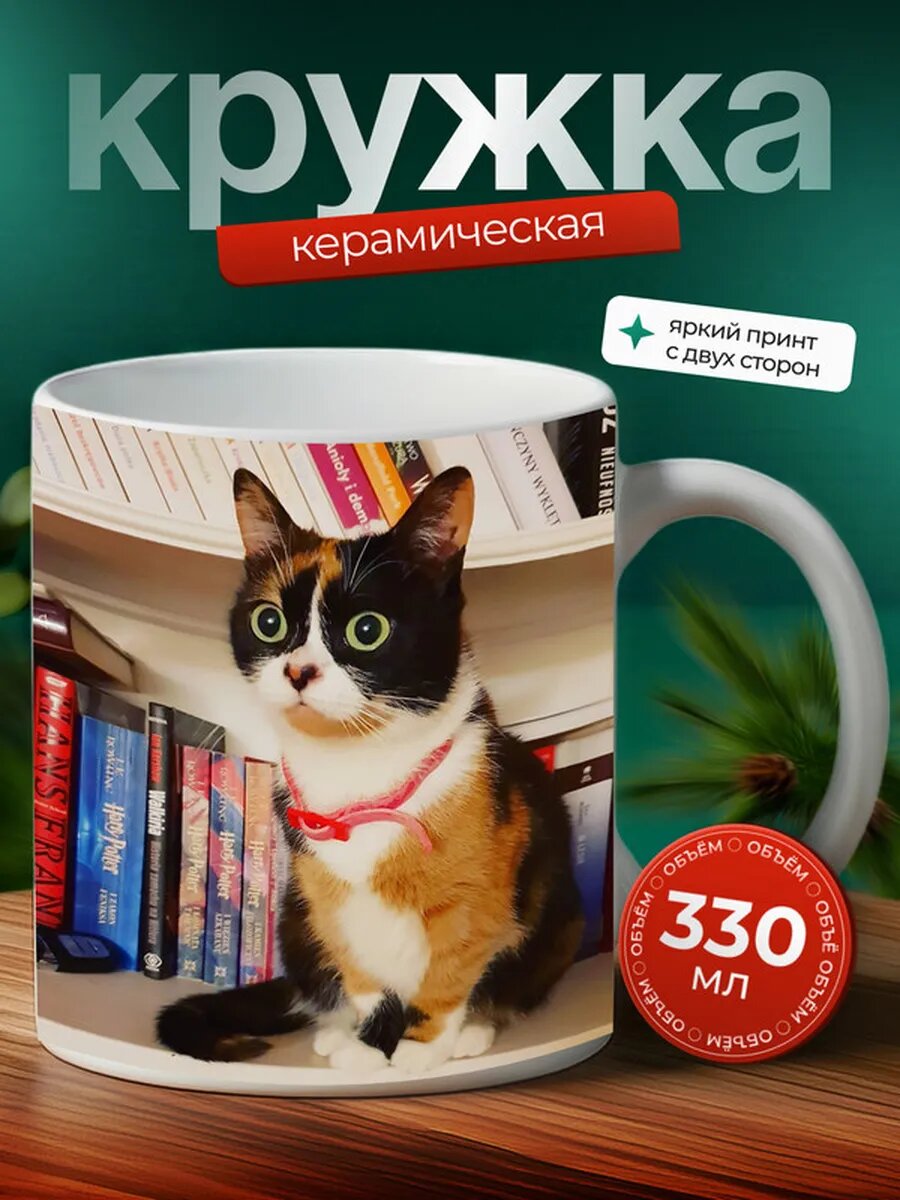Кружка Спайс кот 24,