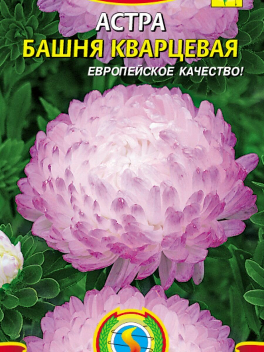 Астра Башня Кварцевая 03 г Плазменные семена