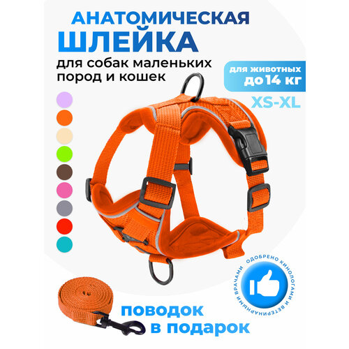 Шлейка прогулочная для собак и кошек регулируемая Wonder Pet / размер L / коричневая