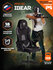 Кресло компьютерное игровое TetChair iBear, ткань, черно-серый