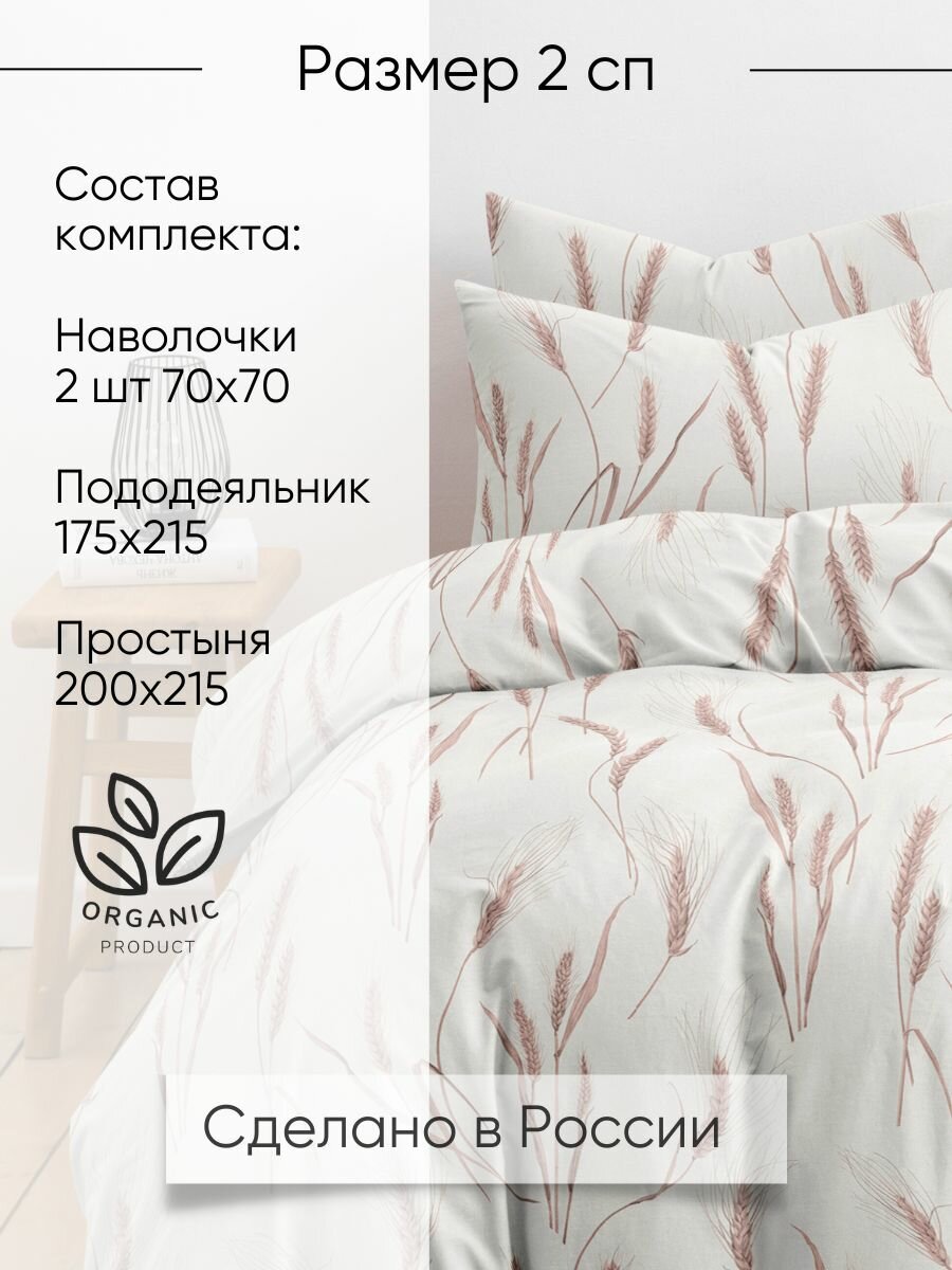Постельное белье 2 спальное, наволочки 70х70 ТМ Ночь Нежна Колоски, 100% хлопок, ткань поплин — фото 1