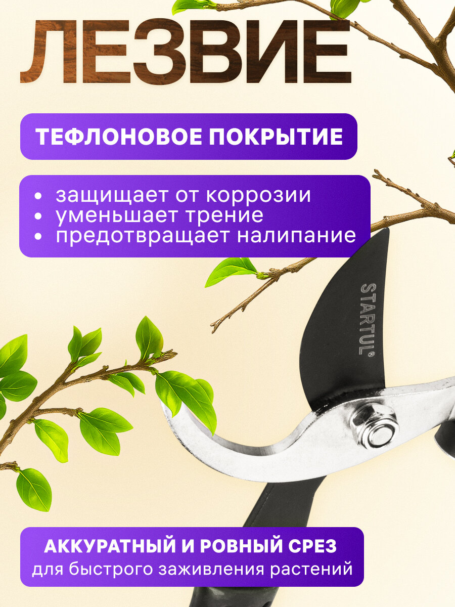 Сучкорез садовый плоскостной 70см STARTUL GARDEN (ST6096-03) секатор, кусторез, ножницы для веток, кустов — фото 1