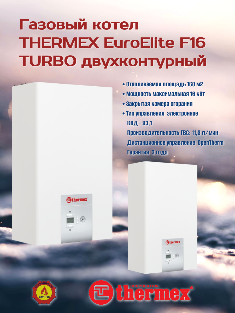 Газовый котел THERMEX EUROELITE F16, двухконтурный, закрытая камера сгорания.