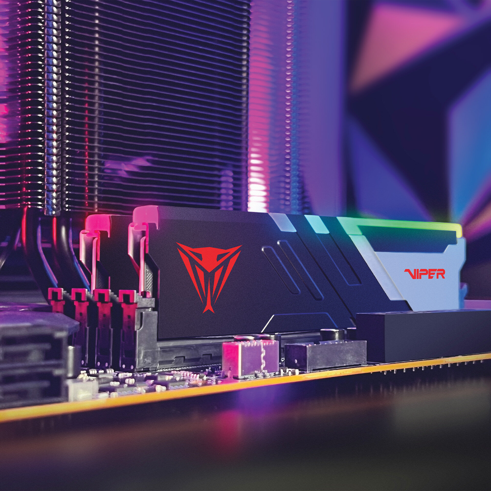 Оперативная память Patriot Viper Venom PVV532G600C30K DDR5 - 2x 16ГБ 6000МГц, DIMM, Ret — фото 1