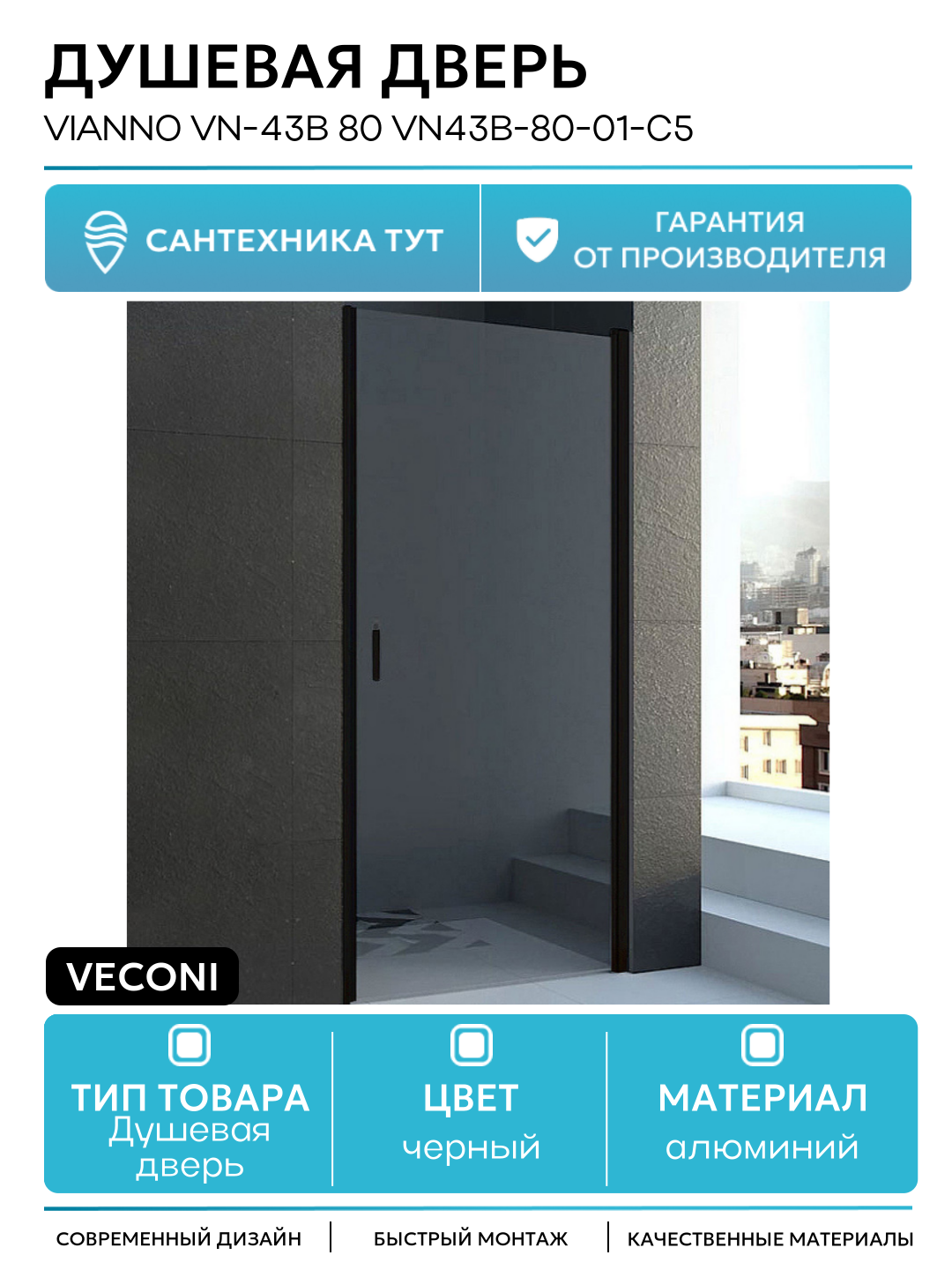 Душевая дверь Veconi Vianno VN-43B 80 VN43B-80-01-C5 профиль Черный матовый стекло прозрачное алюминий черный Италия