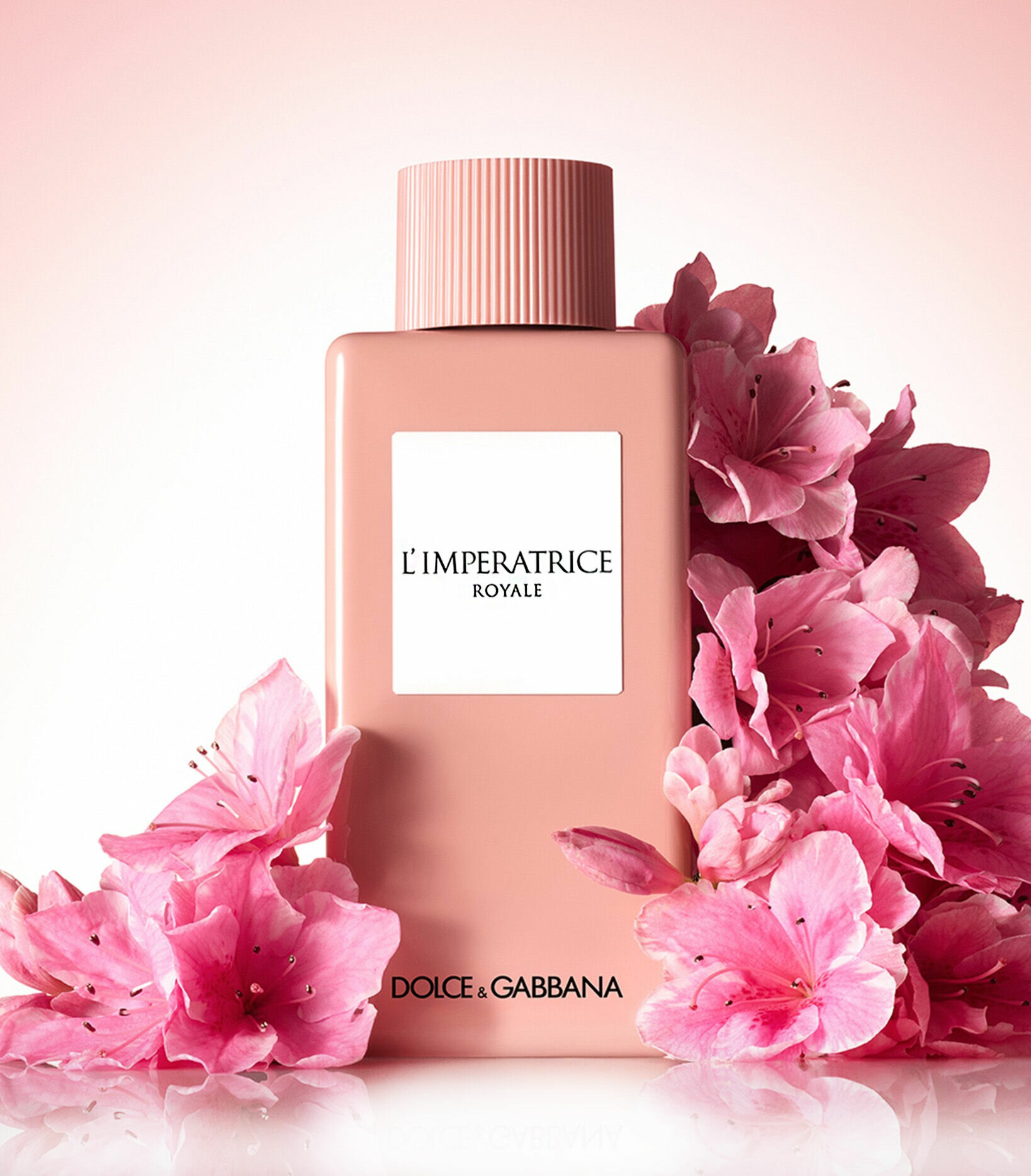 D&G L’IMPERATRICE ROYALE — роскошный аромат для уверенных женщин, которые сияют своей элегантностью и харизмой