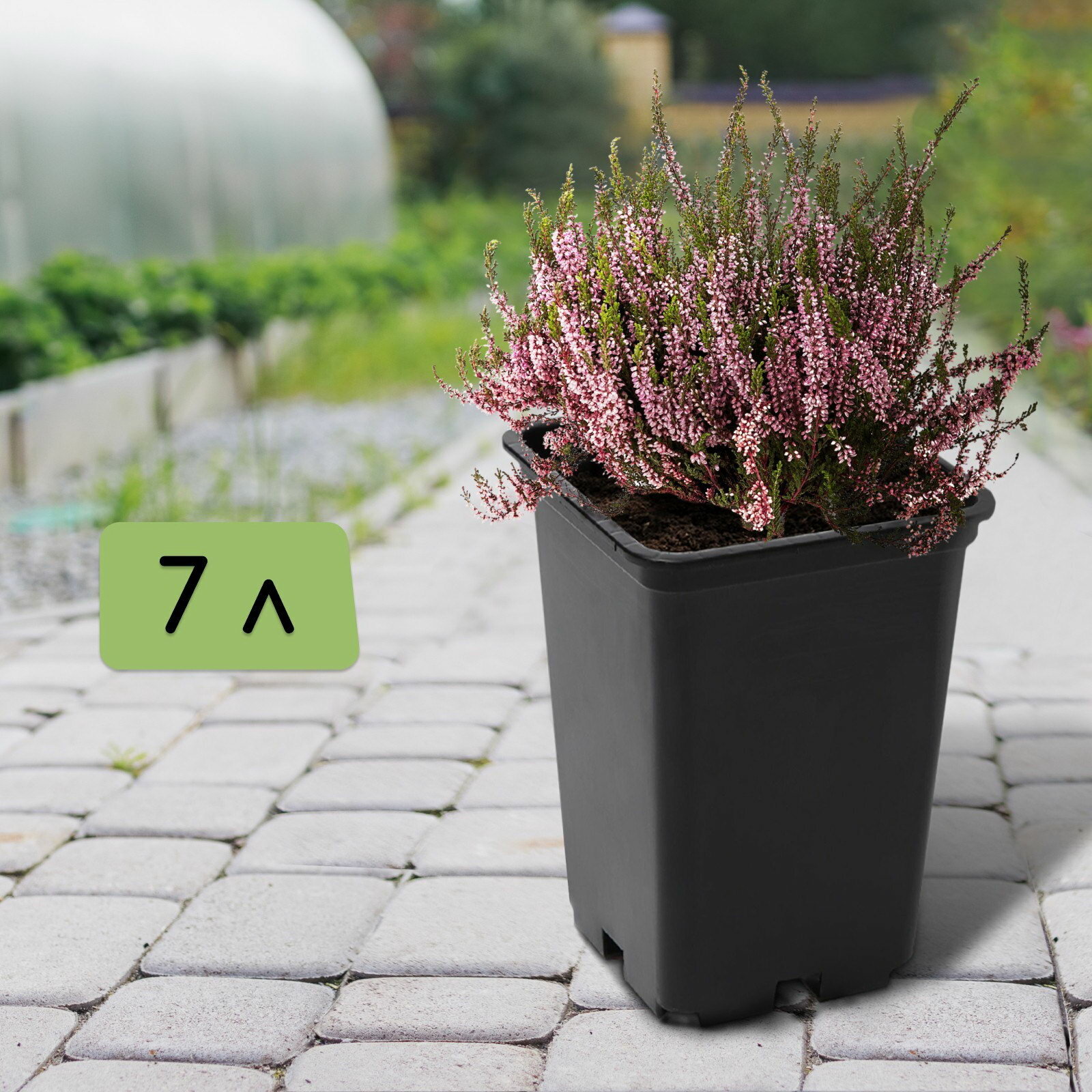 Горшок для рассады, 7 л, 21x21x27.5 см, чёрный, дно: отверстия