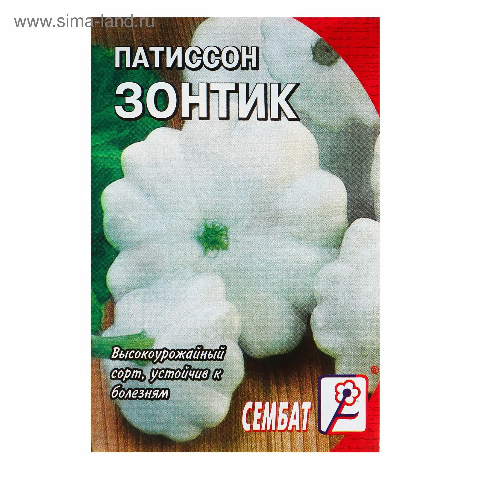 Семена Патиссон 