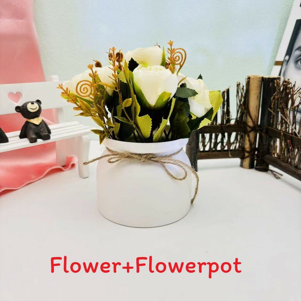 Камелия цветущая комнатное растение для гостиной и декора мероприятий белый