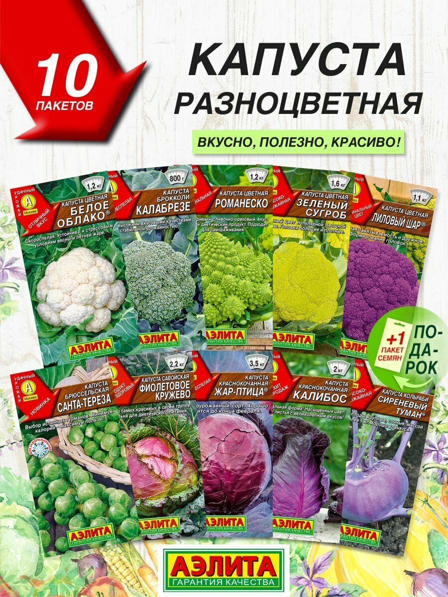 Семена овощей Аэлита Капуста разноцветная 10 сортов / Семена Капуста
