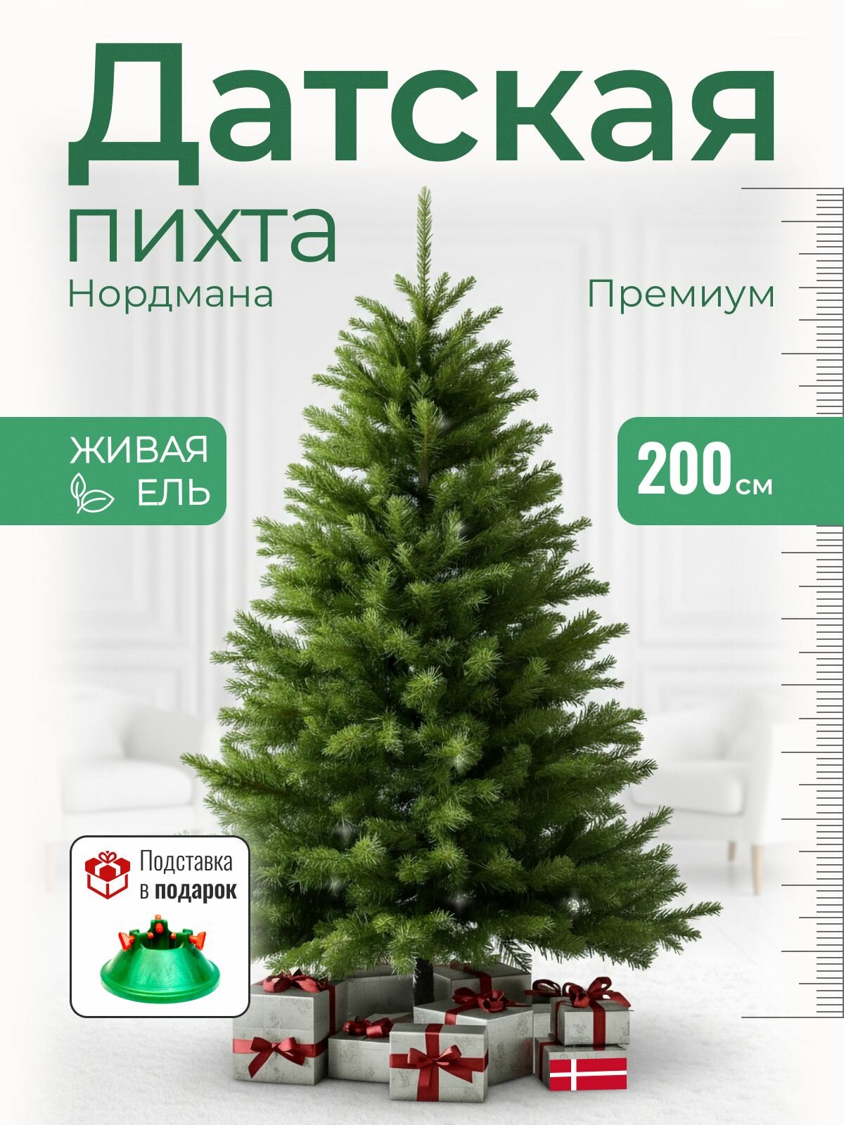 Елка новогодняя живая Пихта Нордмана Премиум 200 см