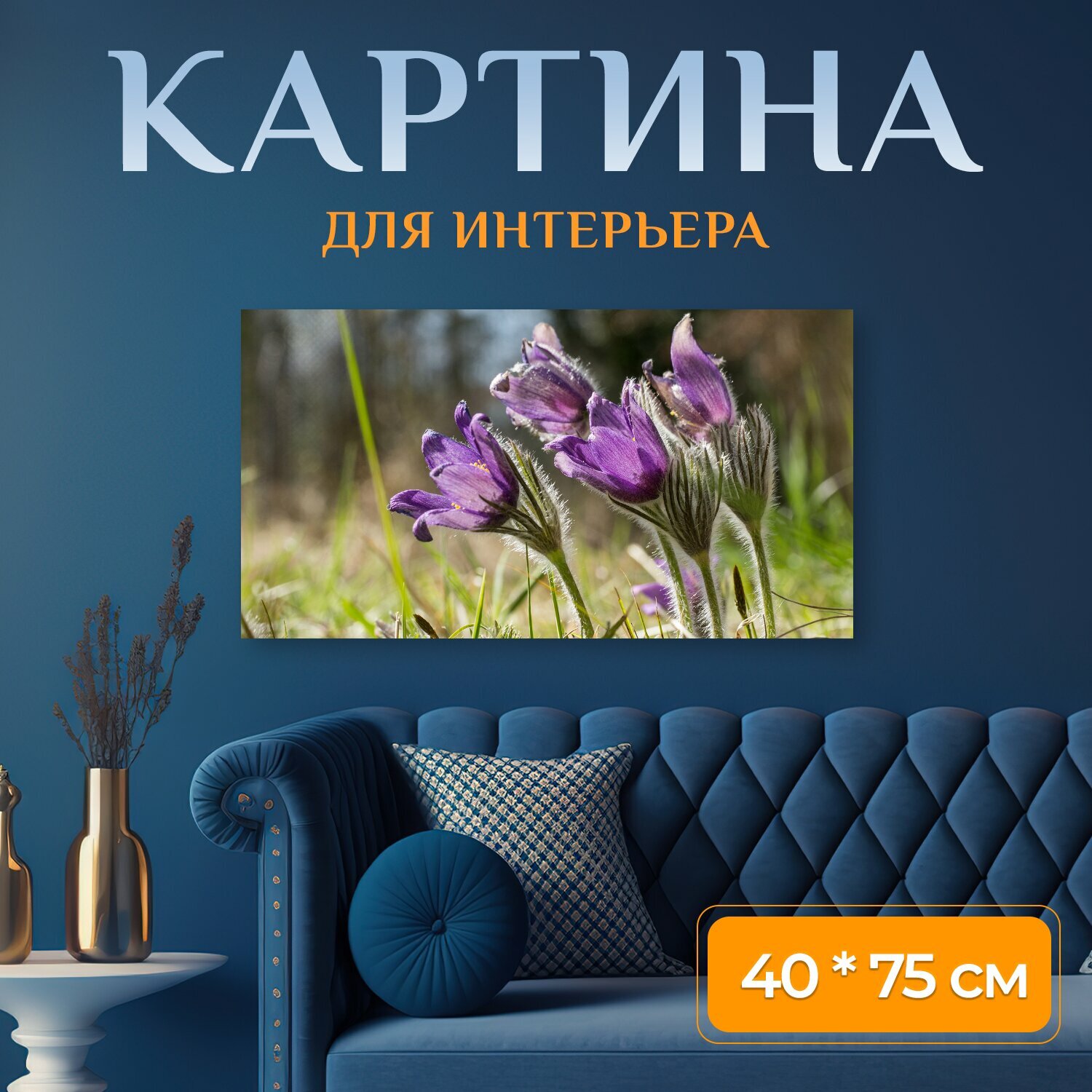 Картина на холсте "Пульсатилла паске цветок прострел" на подрамнике 75х40 см. для интерьера