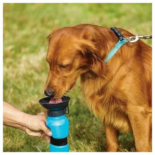 Поилка для собак 677₽
